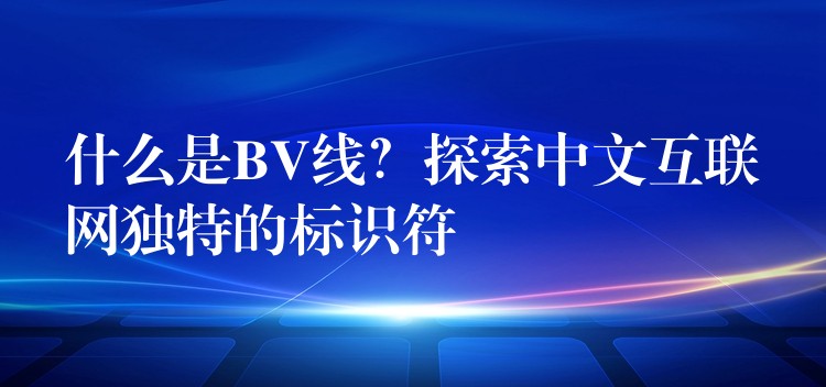 什么是BV线？探索中文互联网独特的标识符