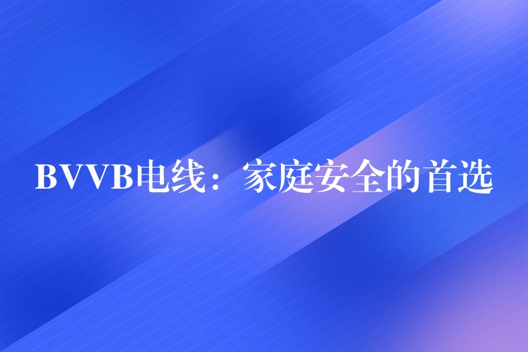 BVVB电线：家庭安全的首选
